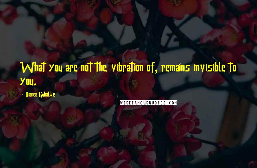 Bianca Gubalke Quotes: What you are not the vibration of, remains invisible to you.