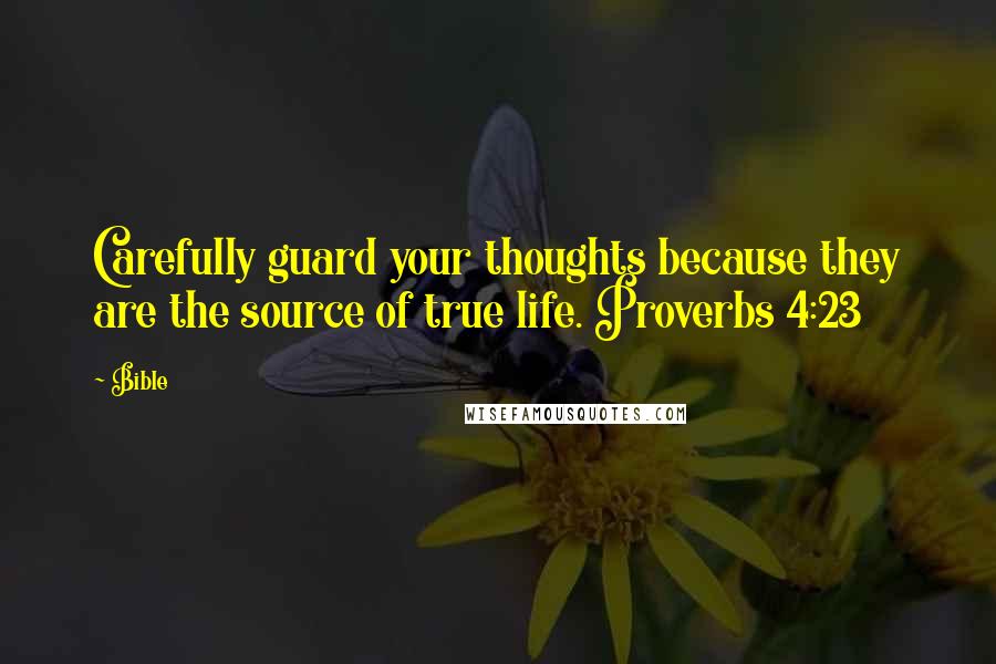 Bible Quotes: Carefully guard your thoughts because they are the source of true life. Proverbs 4:23