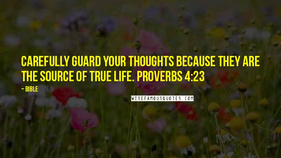 Bible Quotes: Carefully guard your thoughts because they are the source of true life. Proverbs 4:23
