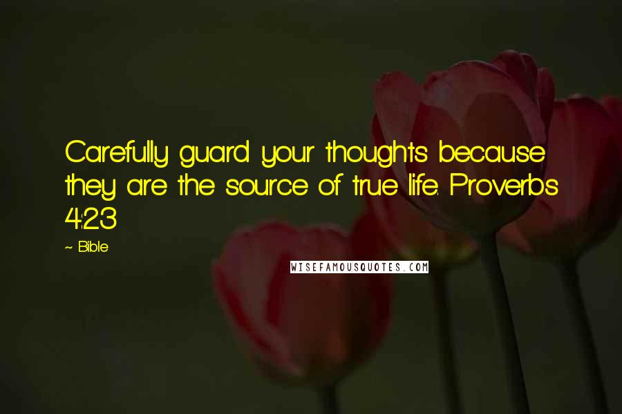 Bible Quotes: Carefully guard your thoughts because they are the source of true life. Proverbs 4:23