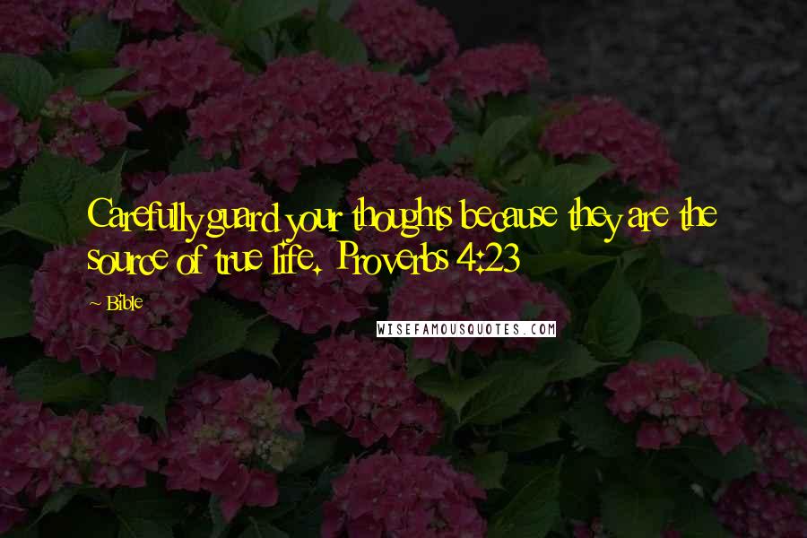 Bible Quotes: Carefully guard your thoughts because they are the source of true life. Proverbs 4:23