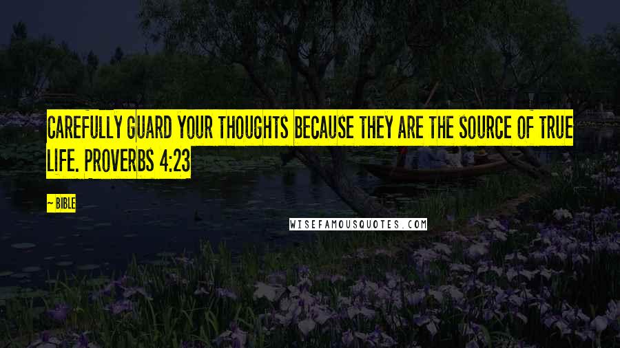 Bible Quotes: Carefully guard your thoughts because they are the source of true life. Proverbs 4:23