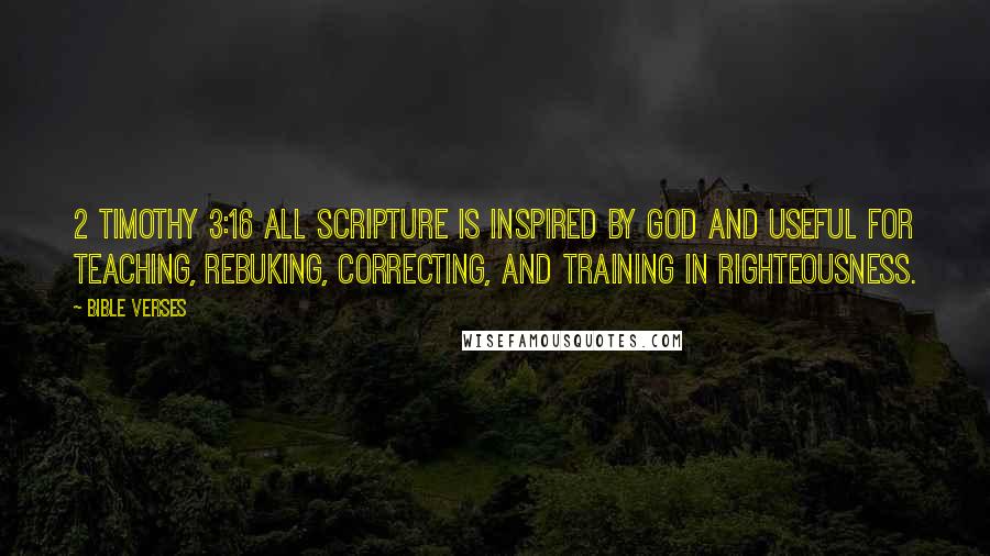 Bible Verses Quotes: 2 Timothy 3:16 ALL Scripture is inspired by God and useful for teaching, rebuking, correcting, and training in righteousness.