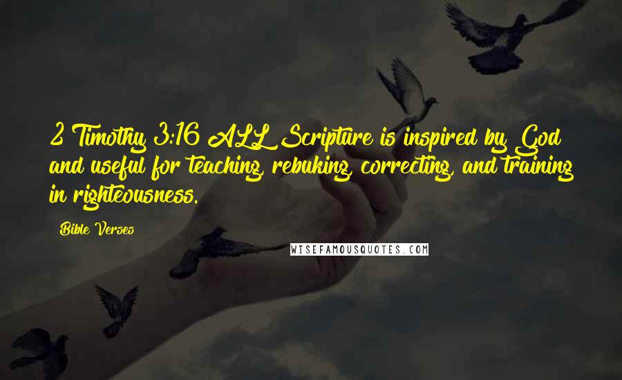 Bible Verses Quotes: 2 Timothy 3:16 ALL Scripture is inspired by God and useful for teaching, rebuking, correcting, and training in righteousness.