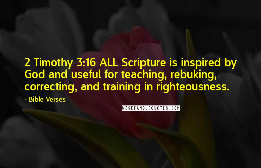 Bible Verses Quotes: 2 Timothy 3:16 ALL Scripture is inspired by God and useful for teaching, rebuking, correcting, and training in righteousness.