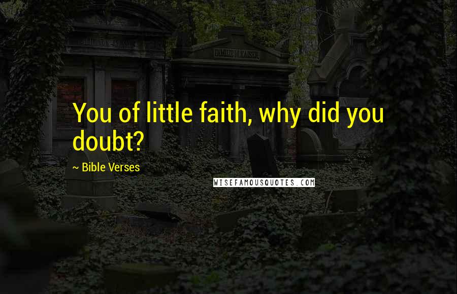 Bible Verses Quotes: You of little faith, why did you doubt?