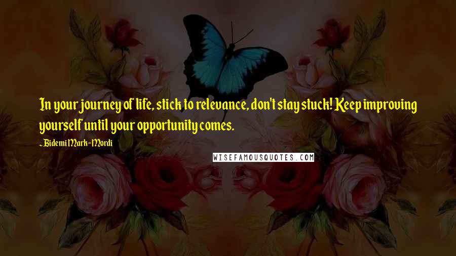 Bidemi Mark-Mordi Quotes: In your journey of life, stick to relevance, don't stay stuck! Keep improving yourself until your opportunity comes.