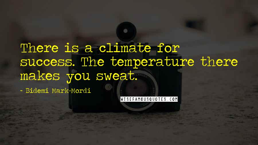 Bidemi Mark-Mordi Quotes: There is a climate for success. The temperature there makes you sweat.
