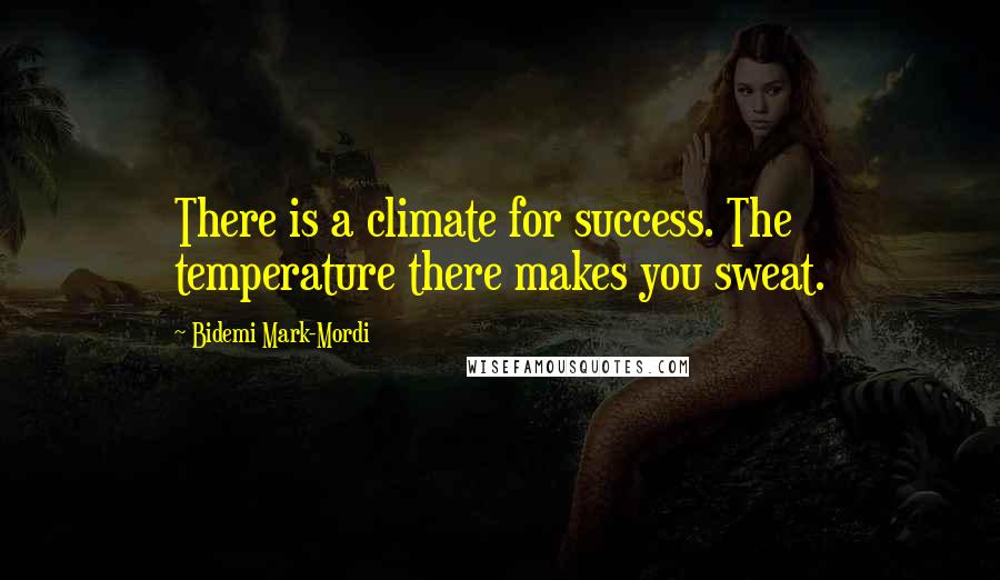 Bidemi Mark-Mordi Quotes: There is a climate for success. The temperature there makes you sweat.