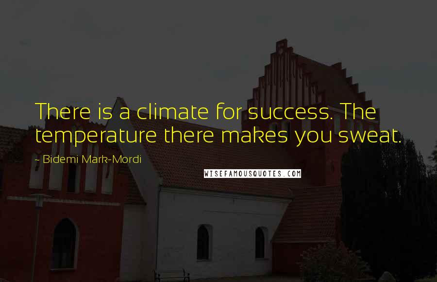 Bidemi Mark-Mordi Quotes: There is a climate for success. The temperature there makes you sweat.