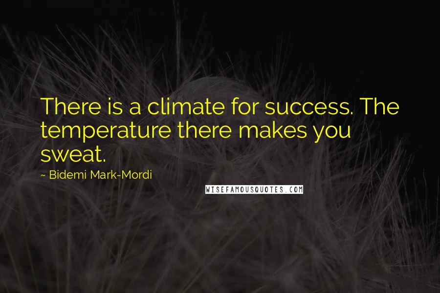 Bidemi Mark-Mordi Quotes: There is a climate for success. The temperature there makes you sweat.
