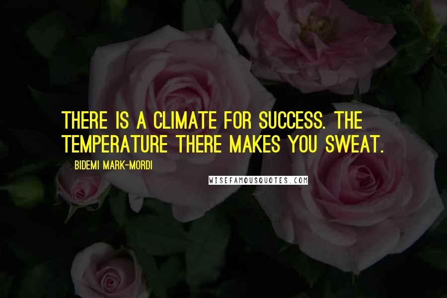 Bidemi Mark-Mordi Quotes: There is a climate for success. The temperature there makes you sweat.