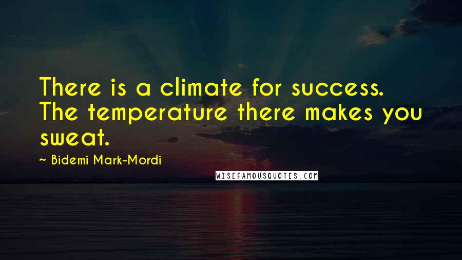 Bidemi Mark-Mordi Quotes: There is a climate for success. The temperature there makes you sweat.