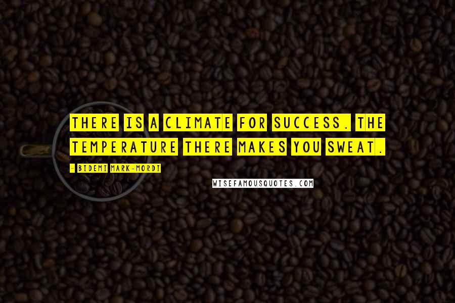 Bidemi Mark-Mordi Quotes: There is a climate for success. The temperature there makes you sweat.