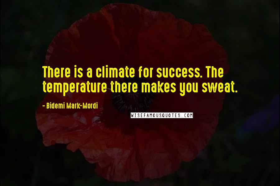 Bidemi Mark-Mordi Quotes: There is a climate for success. The temperature there makes you sweat.