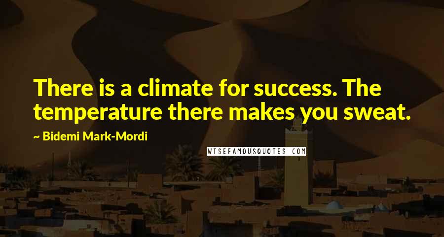 Bidemi Mark-Mordi Quotes: There is a climate for success. The temperature there makes you sweat.
