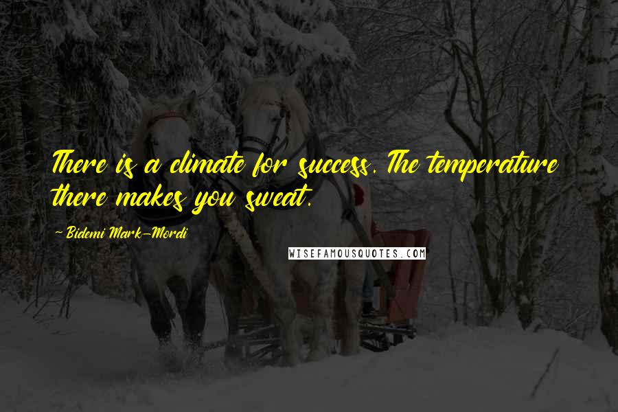 Bidemi Mark-Mordi Quotes: There is a climate for success. The temperature there makes you sweat.
