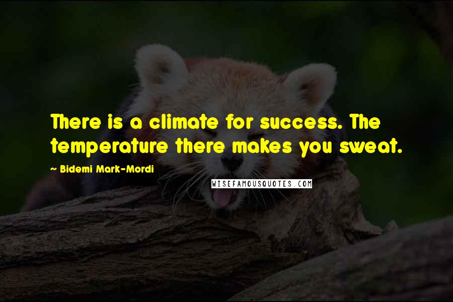 Bidemi Mark-Mordi Quotes: There is a climate for success. The temperature there makes you sweat.