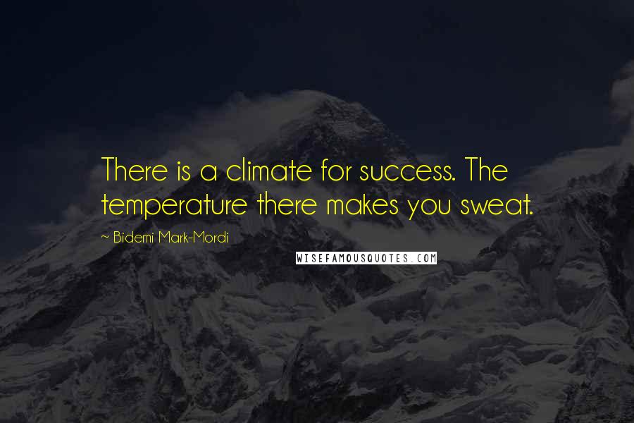 Bidemi Mark-Mordi Quotes: There is a climate for success. The temperature there makes you sweat.