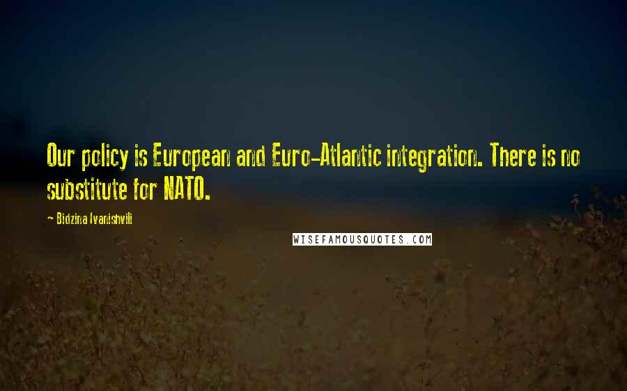 Bidzina Ivanishvili Quotes: Our policy is European and Euro-Atlantic integration. There is no substitute for NATO.