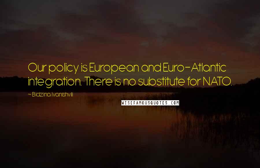 Bidzina Ivanishvili Quotes: Our policy is European and Euro-Atlantic integration. There is no substitute for NATO.