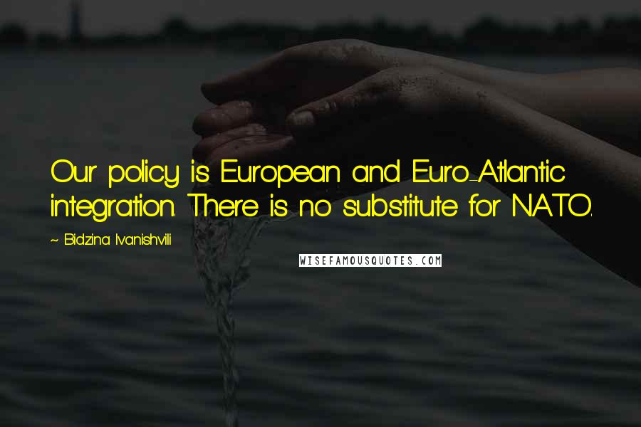 Bidzina Ivanishvili Quotes: Our policy is European and Euro-Atlantic integration. There is no substitute for NATO.
