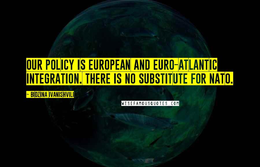 Bidzina Ivanishvili Quotes: Our policy is European and Euro-Atlantic integration. There is no substitute for NATO.