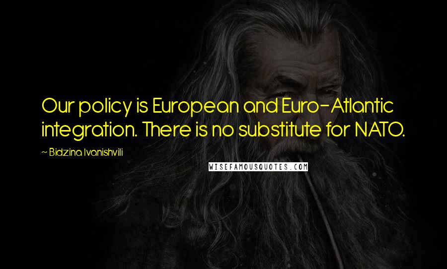Bidzina Ivanishvili Quotes: Our policy is European and Euro-Atlantic integration. There is no substitute for NATO.