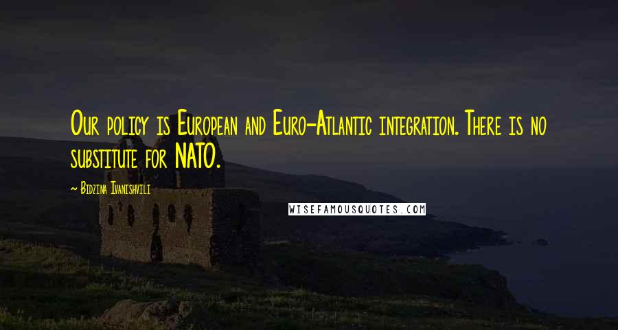 Bidzina Ivanishvili Quotes: Our policy is European and Euro-Atlantic integration. There is no substitute for NATO.