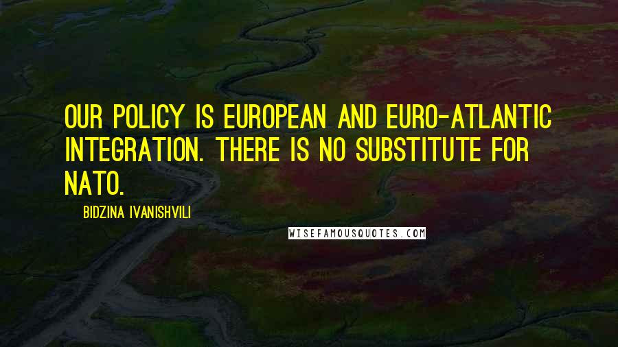 Bidzina Ivanishvili Quotes: Our policy is European and Euro-Atlantic integration. There is no substitute for NATO.
