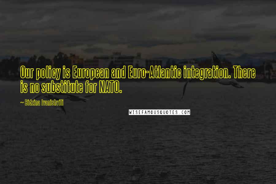 Bidzina Ivanishvili Quotes: Our policy is European and Euro-Atlantic integration. There is no substitute for NATO.