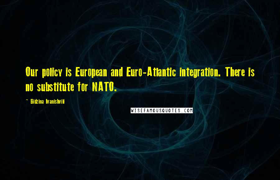 Bidzina Ivanishvili Quotes: Our policy is European and Euro-Atlantic integration. There is no substitute for NATO.
