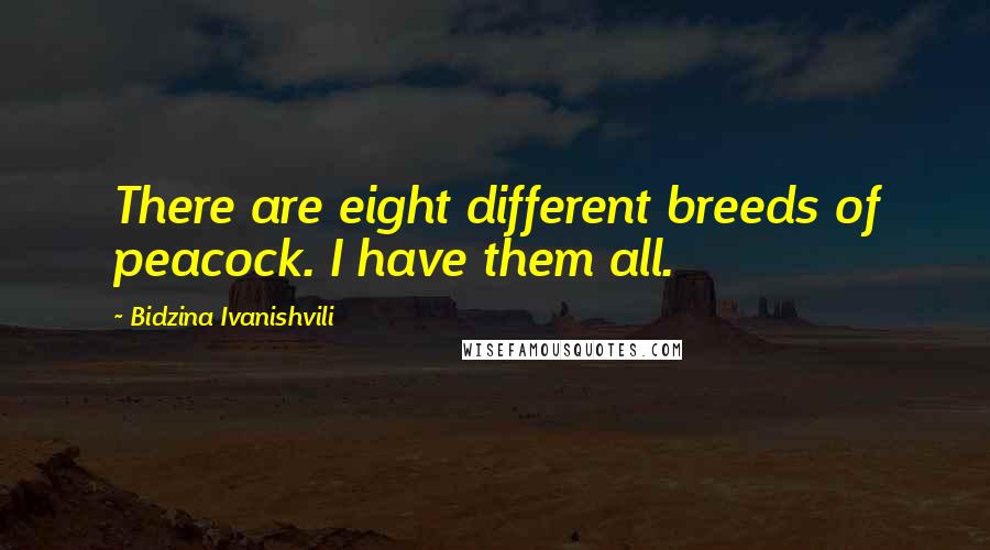 Bidzina Ivanishvili Quotes: There are eight different breeds of peacock. I have them all.