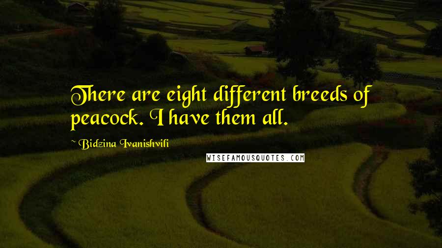 Bidzina Ivanishvili Quotes: There are eight different breeds of peacock. I have them all.