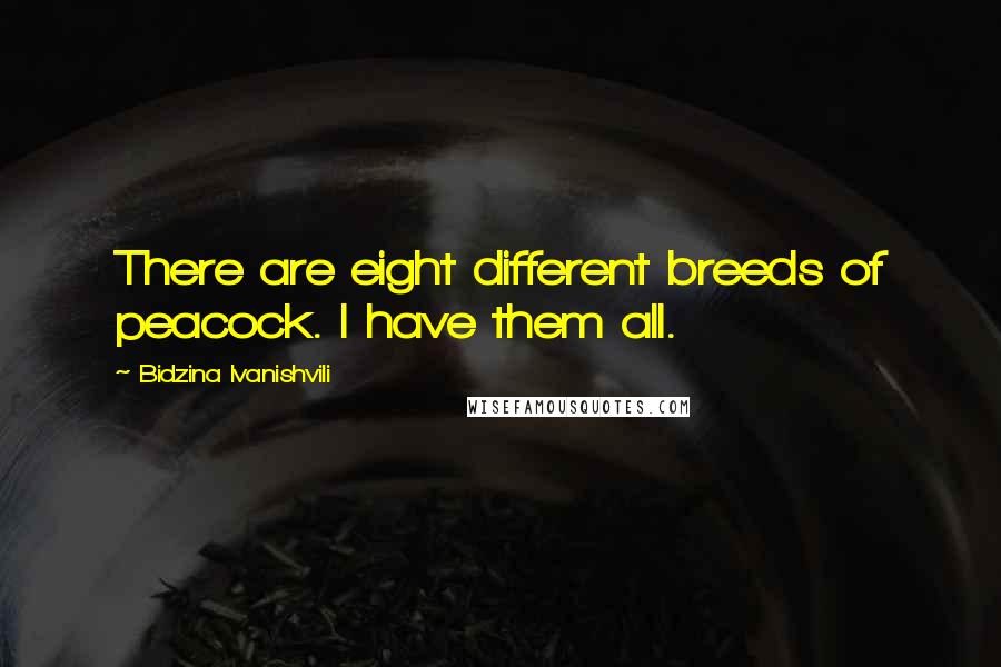 Bidzina Ivanishvili Quotes: There are eight different breeds of peacock. I have them all.