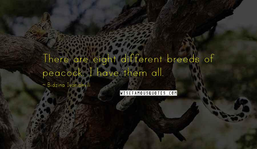 Bidzina Ivanishvili Quotes: There are eight different breeds of peacock. I have them all.