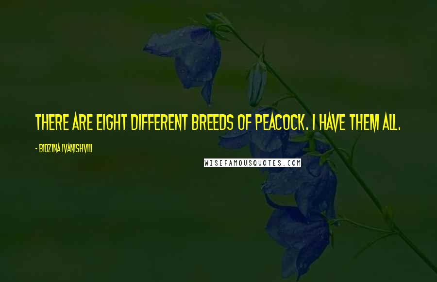 Bidzina Ivanishvili Quotes: There are eight different breeds of peacock. I have them all.