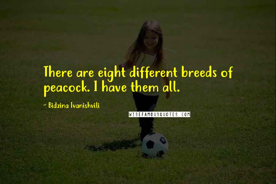Bidzina Ivanishvili Quotes: There are eight different breeds of peacock. I have them all.
