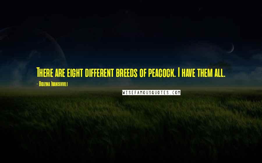 Bidzina Ivanishvili Quotes: There are eight different breeds of peacock. I have them all.