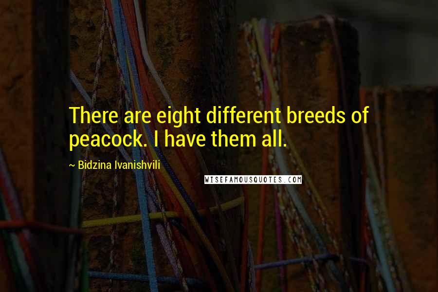 Bidzina Ivanishvili Quotes: There are eight different breeds of peacock. I have them all.