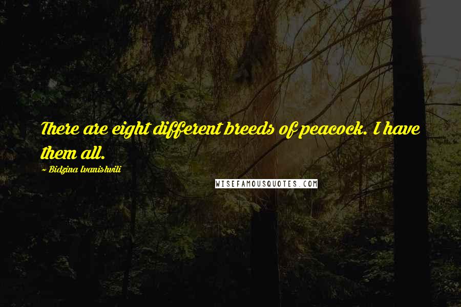 Bidzina Ivanishvili Quotes: There are eight different breeds of peacock. I have them all.