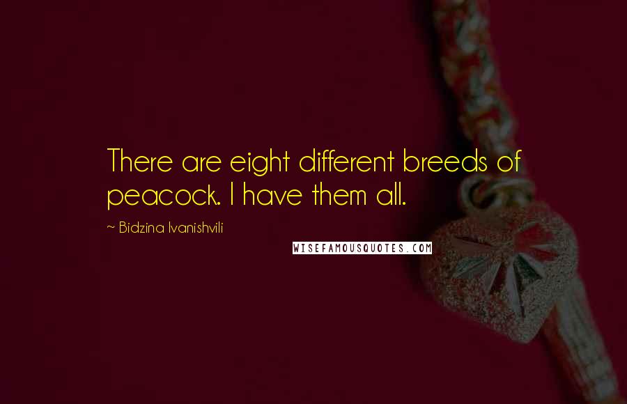 Bidzina Ivanishvili Quotes: There are eight different breeds of peacock. I have them all.