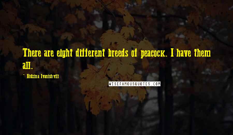 Bidzina Ivanishvili Quotes: There are eight different breeds of peacock. I have them all.
