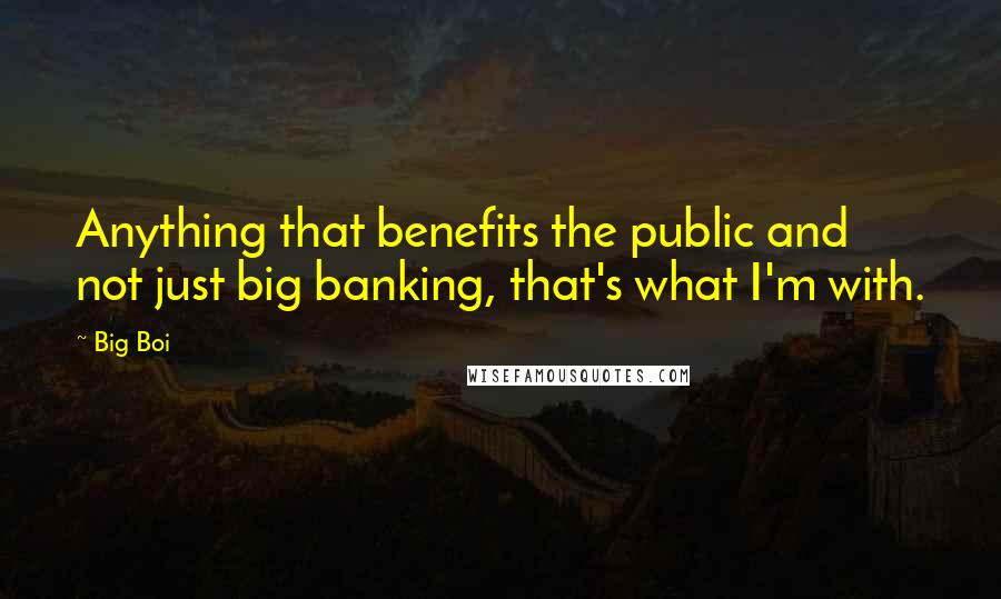 Big Boi Quotes: Anything that benefits the public and not just big banking, that's what I'm with.