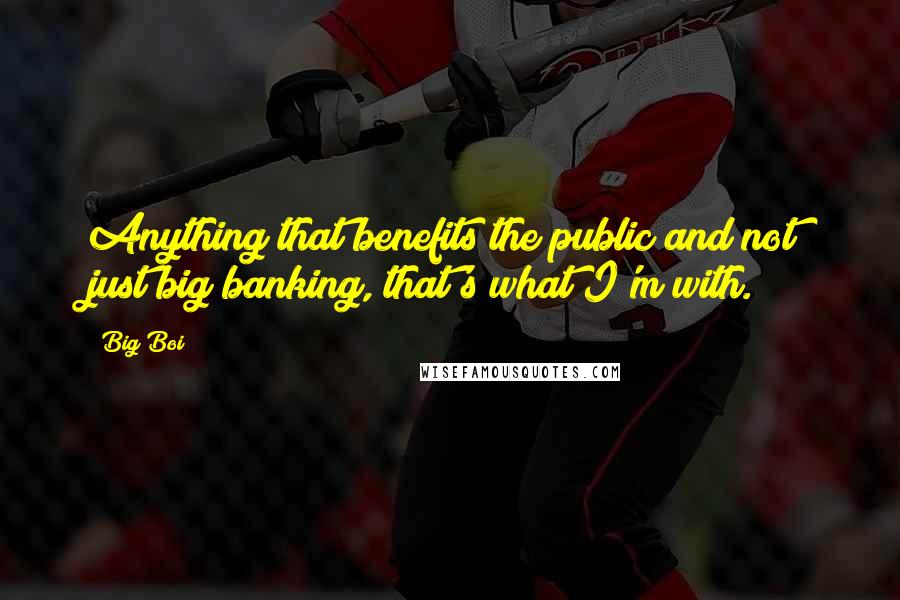 Big Boi Quotes: Anything that benefits the public and not just big banking, that's what I'm with.