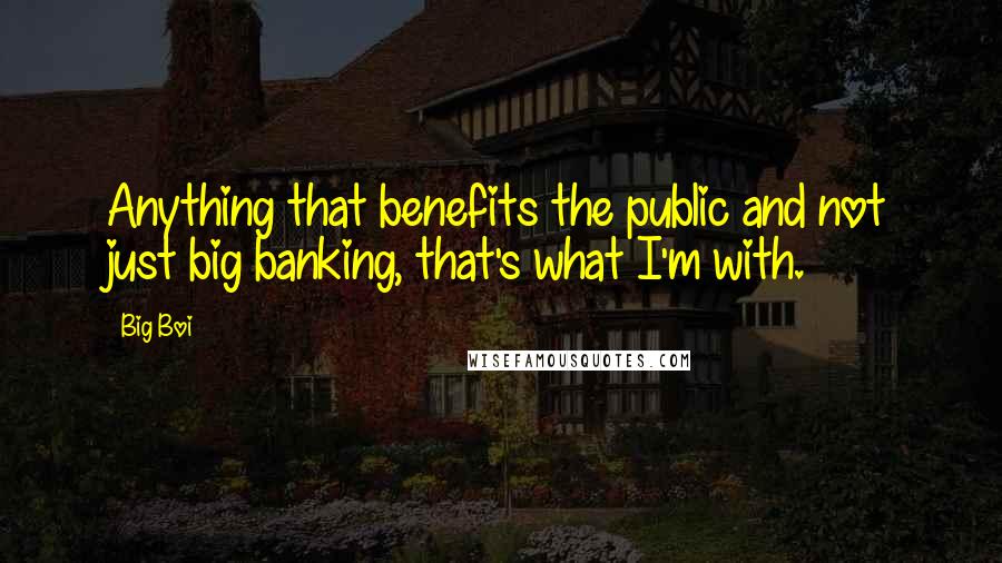Big Boi Quotes: Anything that benefits the public and not just big banking, that's what I'm with.