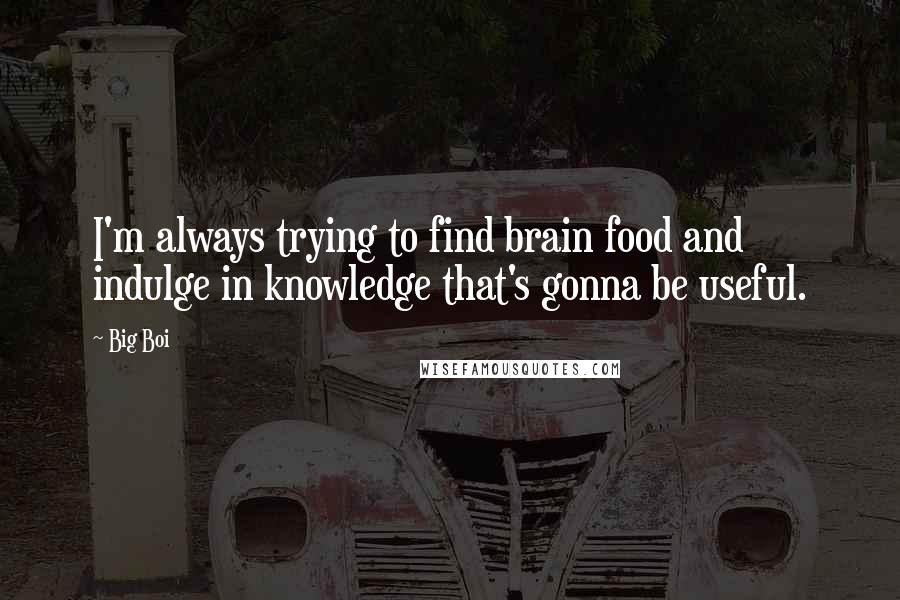 Big Boi Quotes: I'm always trying to find brain food and indulge in knowledge that's gonna be useful.