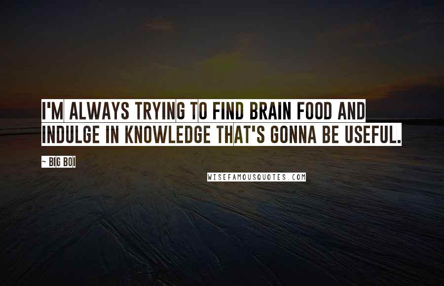 Big Boi Quotes: I'm always trying to find brain food and indulge in knowledge that's gonna be useful.