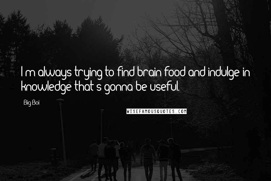 Big Boi Quotes: I'm always trying to find brain food and indulge in knowledge that's gonna be useful.