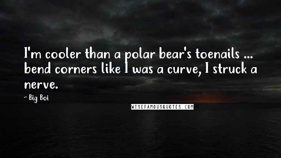 Big Boi Quotes: I'm cooler than a polar bear's toenails ... bend corners like I was a curve, I struck a nerve.
